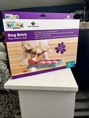 Outward Hound Dog Brick Puzzle Toy - Purple, Teal, Red